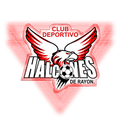 Deportivo Halcones de Rayon Logo