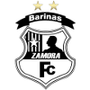 Zamora Reserves Logo