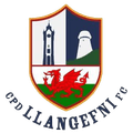 Winner logo