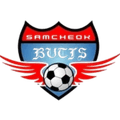 Samcheok Shinwoo Electronics Logo