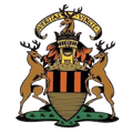 Stonehaven FC Logo