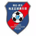 Wuhan Dilong TGU Futsal Logo