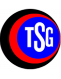 TSG Hofherrnweiler Unterrombach Logo