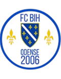 BiH Odense Logo