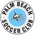 Gold Coast City Logo