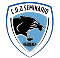 CD Juvenil Seminario Logo
