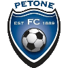 Powerex Petone(w) Logo
