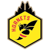 CTX Hornets (w) Logo