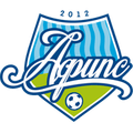 Runner up logo