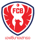 Bang Sao Tong Logo