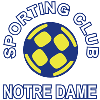 Notre Dame Logo