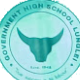 GOVT HIGHER SECONDARY SCHOOL LUNGLEI U19 Logo