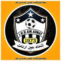 IRB Ain Arnat Logo