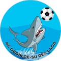 Runner up logo