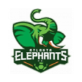 Atlanta Elephants FC Logo