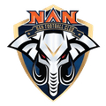 Nan FC Logo