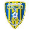 Sighetu Marmatiei Logo