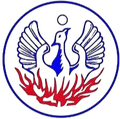 Naousa Logo