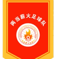 Liangdang County Taiyang Village Logo
