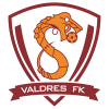 Valdres FK U19 Logo