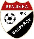FC Belshina Bobruisk Logo