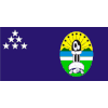Central Shields Logo