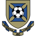 Runner up logo