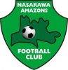 Nasarawa Amazons(w) Logo