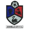 Gosnells City Logo
