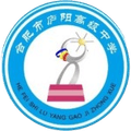 Hefei Luyang Senior High School U17 Logo