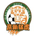 Chongqing Gaoxin Tiger Logo