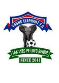Young Elephant FC Logo