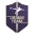 Dream Team Logo