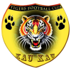 Mighty Tigers Logo