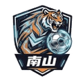 Nanshan Boxin Tech Logo