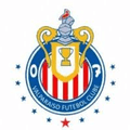 GE Valparaiso U20 Logo