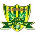 Drzewiarz Jasienica Logo