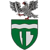 เฟลโซซโซลกา Logo