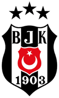Besiktas JK U17 Logo