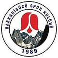Hakkarigucu SK Women Logo