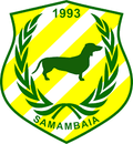 Samambaia DF Logo