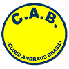 Andraus Brasil/PR U19 Logo