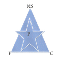 New Star De Douala Logo