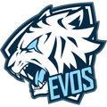 EVS Logo