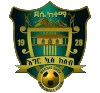 Dessie Ketema Logo