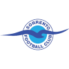 Sorrento(w) Logo