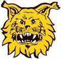 Runner up logo