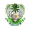 Wawonii Putra FC Logo