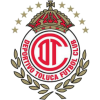 Deportivo Toluca Mexiquense U20 Logo