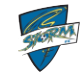 Storm FC Logo